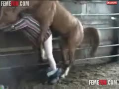 Classic video captured by a husband of his wife fucking a horse